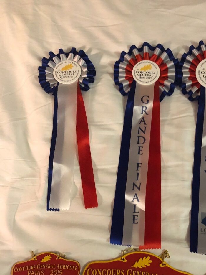 Meilleur mâle meilleur de race 2019 