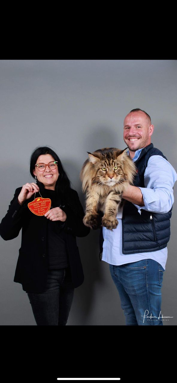 Meilleur mâle meilleur de race au salon de l’agriculture 2022