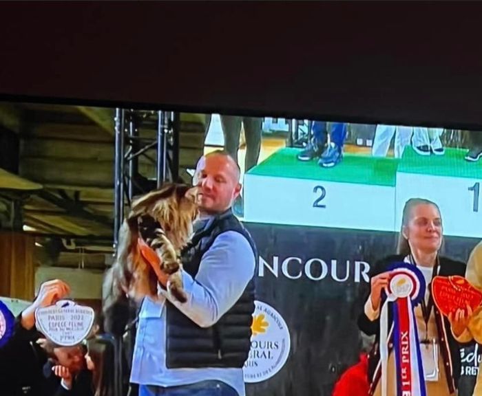 2 eme plus beau chat au salon de l’agriculture 2022 sur 30 
